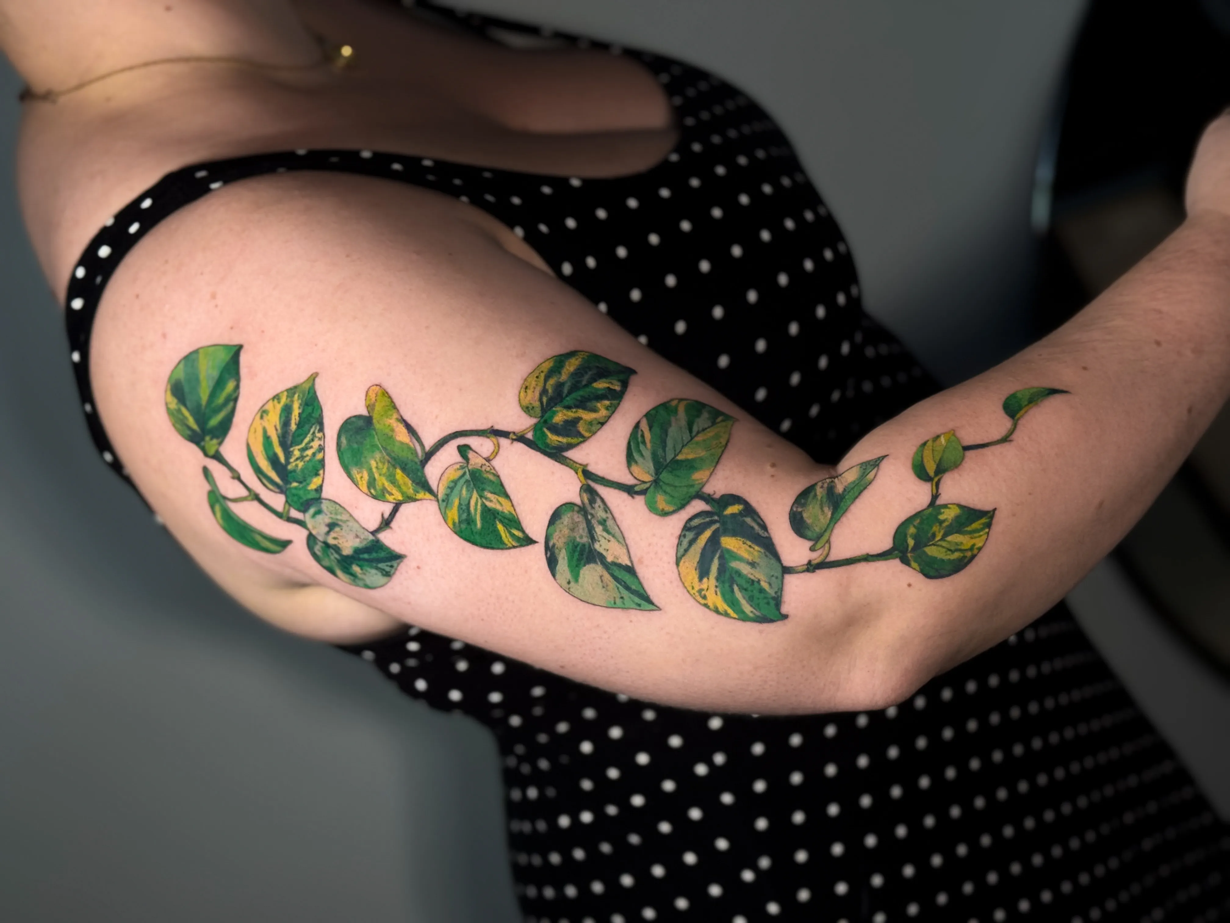 Color tattoo of a trailing pothos vine on the upper arm