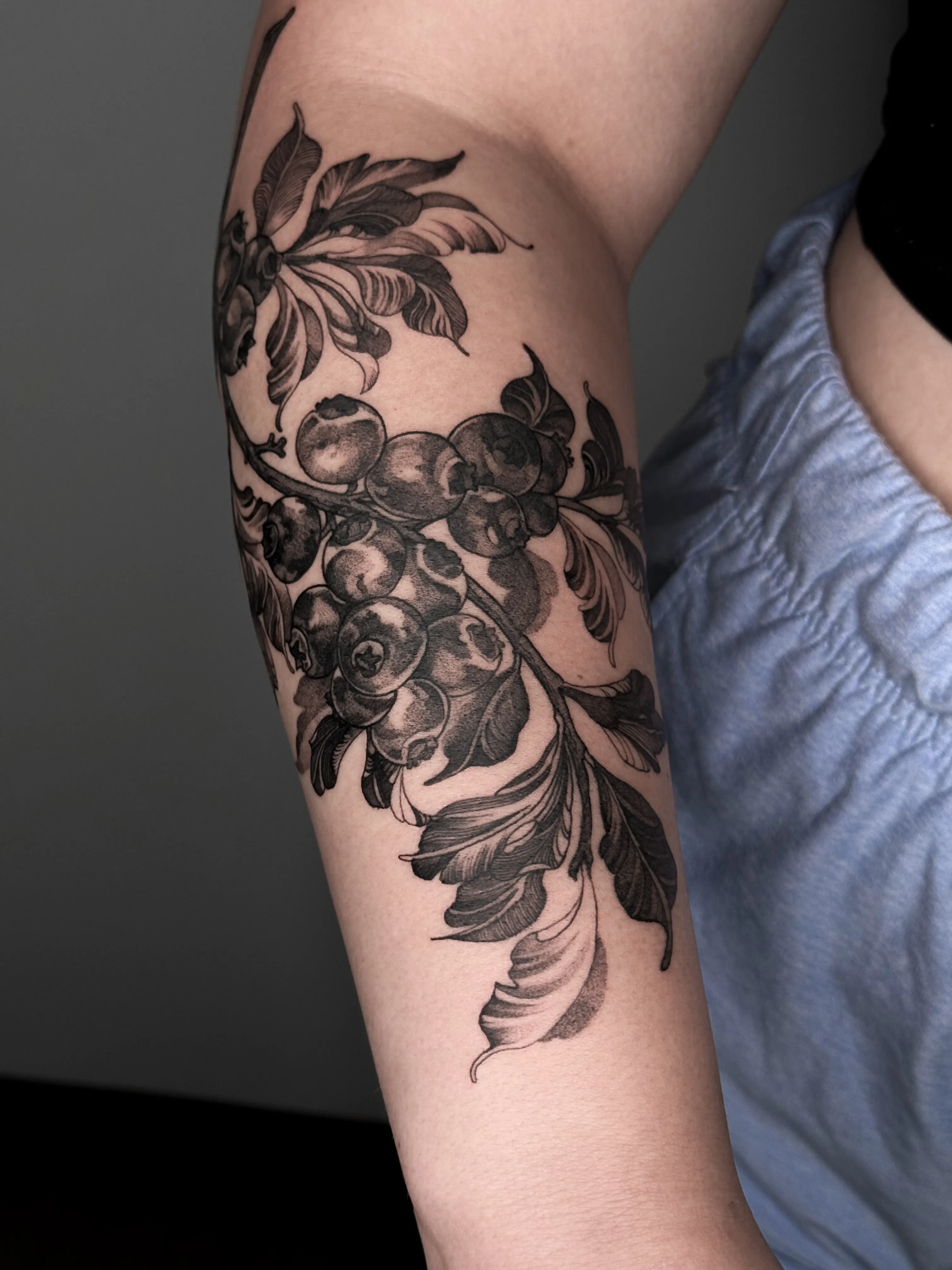 Black and gray nature-inspired tattoo of a blueberry branch on the arm