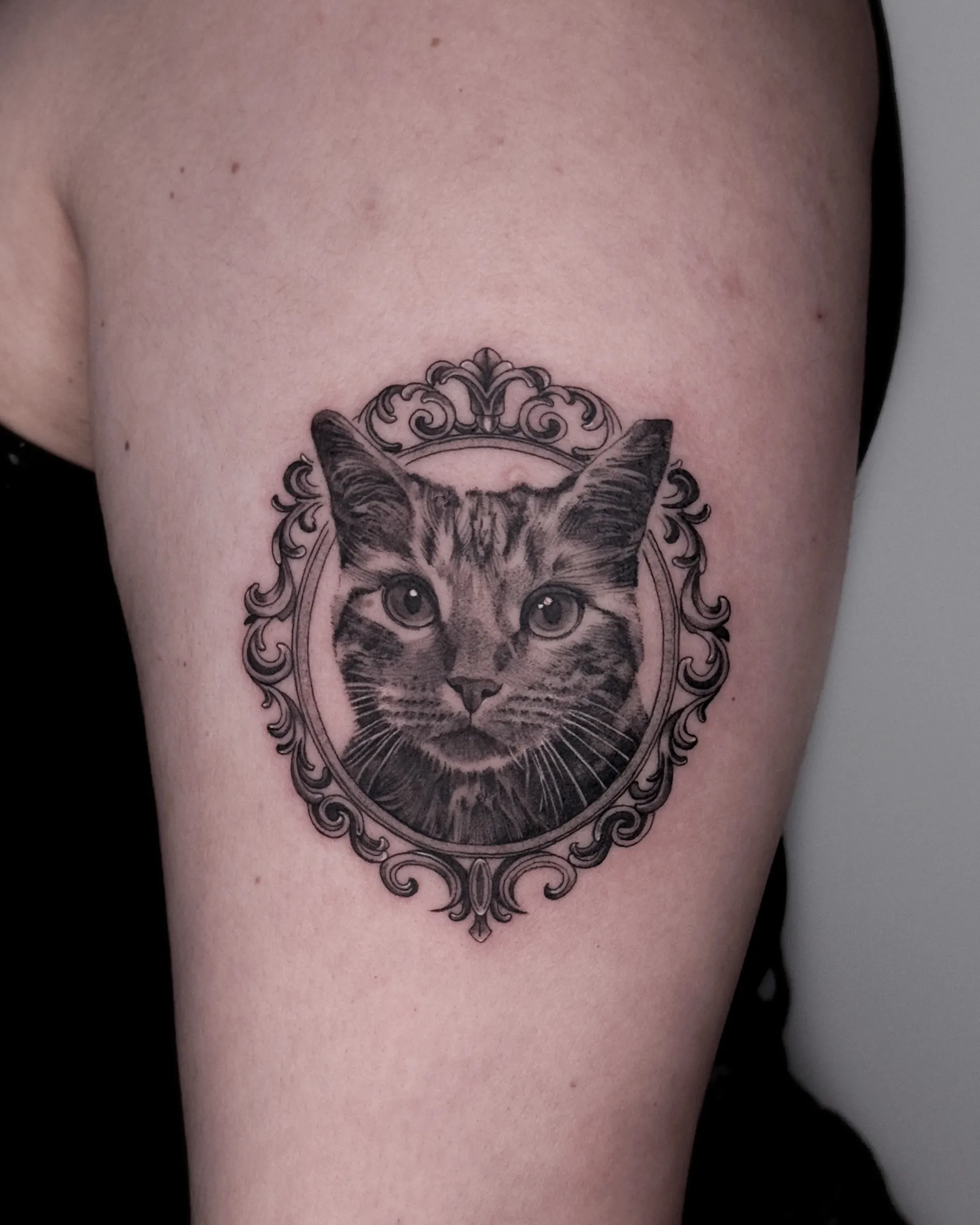 Black and gray pet portrait tattoo of a cat in an ornate frame